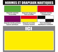 Baignade Dangereuse Surveillée (10x10cm) - Sticker/Autocollant