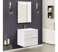 Baikal Gavin Meuble de Salle de Bain avec lavabo et Miroir LED Suspendu, Deux tiroirs, Finition argentée, mélamine 16, Facile à Assembler 16 mm, 60 x 46 x 56