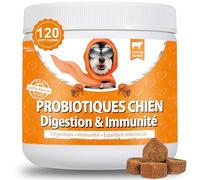 Bailey & buddies Probiotiques Chien Digestion & Système Immunitaire | Compléments Alimentaires Premium pour Chiens | Oméga 3, Probiotiques | Marque UK | 300g