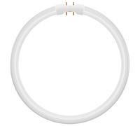 Bailey Electric & Electronics 146565 Ampoule Led 21,5 W