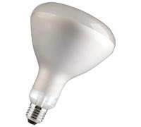 Bailey Electric & Electronics 60800122044 ampoule incandescente 250 W