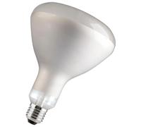 Bailey Electric & Electronics 60800124264 Ampoule Incandescente 150 W
