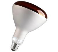 Bailey Electric & Electronics 60800124265 Ampoule Incandescente 150 W