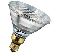 Bailey Electric & Electronics Ri38e230175/01 Ampoule Incandescente 175 W