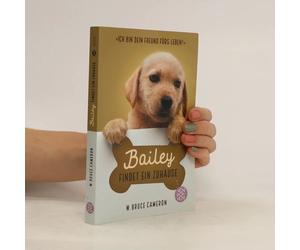 Bailey Findet Ein Zuhause
