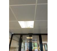 Bailey Led Pl 2G11 24W 4000K Lampe Professionnelle - 80100038477