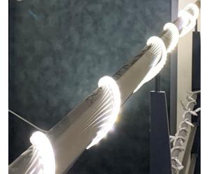 Bailey Robuste Lumière En Corde LED 50M 380LM 4000K IP65 - 145374