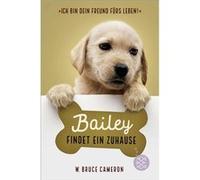 Bailey Findet Ein Zuhause