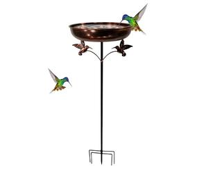 Bain D’oiseaux | Conteneur D'alimentation Pour Colibris | Bain De Colibri De Jardin | Pour Les Jardiniers Propriétaires Amoureux De La Nature Arrière-cour Patio Terrasse Cour Pelouse Cour Parc M