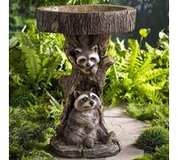 Bain d'oiseaux en polyrésine de raton laveur d'art créatif, décoration moderne de jardin Antique pour la maison, cour de jardin