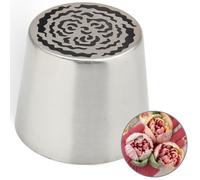 Baipesiy Douilles de passepoil russes extra larges en acier inoxydable pour décoration de gâteaux, glaçage, bouquet de fleurs crème, biscuits, desserts (XXL, style 14)