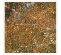 Baird Sisters – Until You Find Your Green – Import – Bada Bing