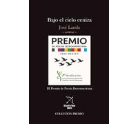 Bajo el cielo ceniza