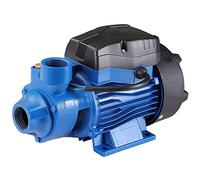 Bakaji Pompe électrique autodescente pour autoclave périphérique puissance 0,5 HP (370 W) avec moteur en cuivre, roue en laiton, arbre en acier, corps en fonte, débit maximal 30 l/min