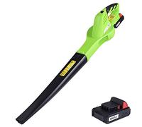 Bakaji Souffleur de Jardin sans Fil avec Batterie au Lithium Rechargeable 20V, Complet avec Chargeur Entretien et Entretien des espaces extérieurs Cordless 20V