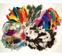 Baker Ross Classpack Valeur Plumes pour Les Enfants à décorer Les Arts et l'artisanat (Paquet de 600) EV220