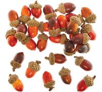 Baker Ross FN307 Glands artificiels pour l'artisanat - Lot de 30, Essentiels de l'artisanat d'automne, Fournitures pour la fabrication de couronnes d'automne