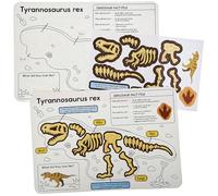 Baker Ross FN431 Fiches d'information autocollantes sur les fossiles de dinosaures - Lot de 4, STEM et sciences, et aides à l'apprentissage pour les enfants et les écoles