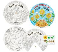 Baker Ross FN468 Roues autocollantes à colorier sur le cycle de vie du tournesol - Lot de 5, STEM, sciences, mathématiques et aides à l'apprentissage pour les enfants et les écoles
