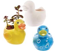 Baker Ross FX570 Pots de fleurs en céramique canard - Boîte de 2, peignez votre propre pot de fleurs