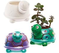 Baker Ross FX594 Pot de fleurs en céramique Tortue - Boîte de 2, Peignez votre propre pot de fleurs