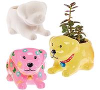 Baker Ross FX694 Pots de fleurs en céramique Labrador Dog - Boîte de 2, Peignez votre propre pot de fleurs
