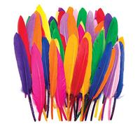 Baker Ross Mini plumes colorées, fournitures de loisirs créatifs pour enfants (Lot de 80)