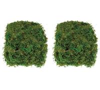 Baker Ross Mousse séchée (100 g per Pack) - Matériel créatif pour activités manuelles AV898 (Lot de 2)