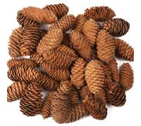 Baker Ross Pommes de Pin Longues (Paquedt de 20), Naturel, 250g