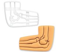 BAKERLOGY Emporte-pièce Os du Coude - Anatomie Humaine Emporte-pièce pour biscuits médicaux, pâtisserie scientifique, décoration fondant orthopédique