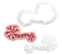 BAKERLOGY Neurone Mini Emporte-pièce & Tampon - Embosseur Fondant Cellule Nerveuse pour Biscuits, Cupcakes, Fête Neurologie, Labo Neurosciences, Étudiants Médecine iologie & STEM