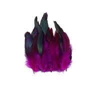 BakerMiche 100pcs Plumes de Faisan, Confortables et Douces Plumes de Faisan 14-20cm Plume Artificielle Plumes de Faisan pour Artisanat Bricolage Décoration Costume Prop Décoration Fuchsia