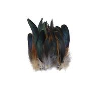 BakerMiche 100pcs Plumes de Faisan, Confortables et Douces Plumes de Faisan 14-20cm Plume Artificielle Plumes de Faisan pour Artisanat Bricolage Décoration Costume Prop Décoration Nu