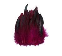 BakerMiche 100pcs Plumes de Faisan, Confortables et Douces Plumes de Faisan 14-20cm Plume Artificielle Plumes de Faisan pour Artisanat Bricolage Décoration Costume Prop Décoration Vin Rouge