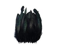 BakerMiche 100pcs Plumes de Faisan, Confortables et Douces Plumes de Faisan 14-20cm Plume Artificielle Plumes de Faisan pour Artisanat Bricolage Décoration Costume Prop Décoration Noir