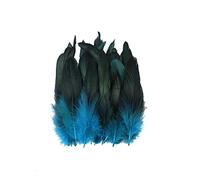 BakerMiche 100pcs Plumes de Faisan, Confortables et Douces Plumes de Faisan 14-20cm Plume Artificielle Plumes de Faisan pour Artisanat Bricolage Décoration Costume Prop Décoration Bleu Clair