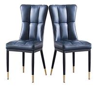 BAKULI Ensemble de 2 Chaises Cuisine Manger Salon Modernes Métal D'appoint Rembourrées Cuir Mat Imperméable l'eau(Blue)