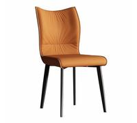 BAKULI Lot De 2 Chaises Salle Manger Métal Idéales for Le Salon La Chambre Coucher La Cuisine Ou La Salle Manger Industrielle(A)
