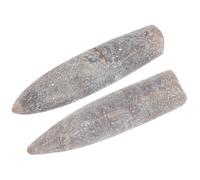 Balacoo 2 pièces Kit Fossiles Bélemnites Naturelles Accessoires Pédagogiques pour Études Géologie Paléontologie Décoration Éducative