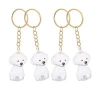 Balacoo 4 Pièces Porte-clés Commémoratif Capsule pour Poils de Chien, | Boîtier ABS Scellé Anti-poussière, Format Compact pour Souvenirs D’animaux, Usage Quotidien pour Clés et Paquet