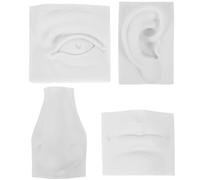 Balacoo Modèle de Sculpture en Plâtre Pratique de Dessin pour Traits du Visage Léger et Créatif Ornement Décoratif en Gypse Blanc et Décoration Intérieure