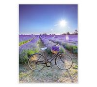 Balade à vélo dans un champ de lavande Poster de Assaf Frank 30 x 40 cm Tableaux Décoration murale