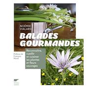 Balades gourmandes: Reconnaître, cueillir et cuisiner les plantes et fleurs sauvages