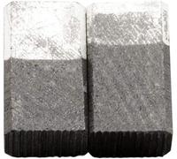 Balais de Charbon pour SKIL 6475 H1 ponceuse - 5,5x8,5x15mm