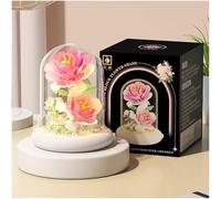 Balakaka Construction Fleurs Kit de Création de Bouquets Éclairé LED, Cadeau de Jouet pour Femmes et Petites Amies