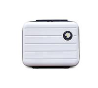 Balakaka Vanity Case Femme 34x25x15cm, 16-inch Grande Capacité ABS Vanity Case Rigide Petite Daisy, Portable Imperméable Trousse à Maquillage avec Poignée pour Voyager, Gris Argent