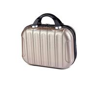 Balakaka Vanity Femme 10L, Léger Portable Voyage avec Poignée, 14 Pouces ABS Case Rigide Peut être Accroché aux Bagages, Champagne