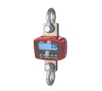 Balance à grue HFD 10T 3IP Kern 1 G