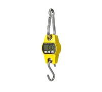 Balance À Grue,Numérique 300 G À 300 Kg,Extinction Automatique,Fonction Maintien De L'affichage,Fonction Tare,Écran Lcd