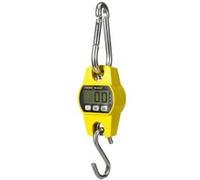 Perel Tools Balance à grue numérique 300 g-300 kg, extinction automatique, fonction tare, écran LCD